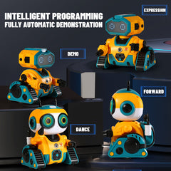Intelligent Programming Robot DIY